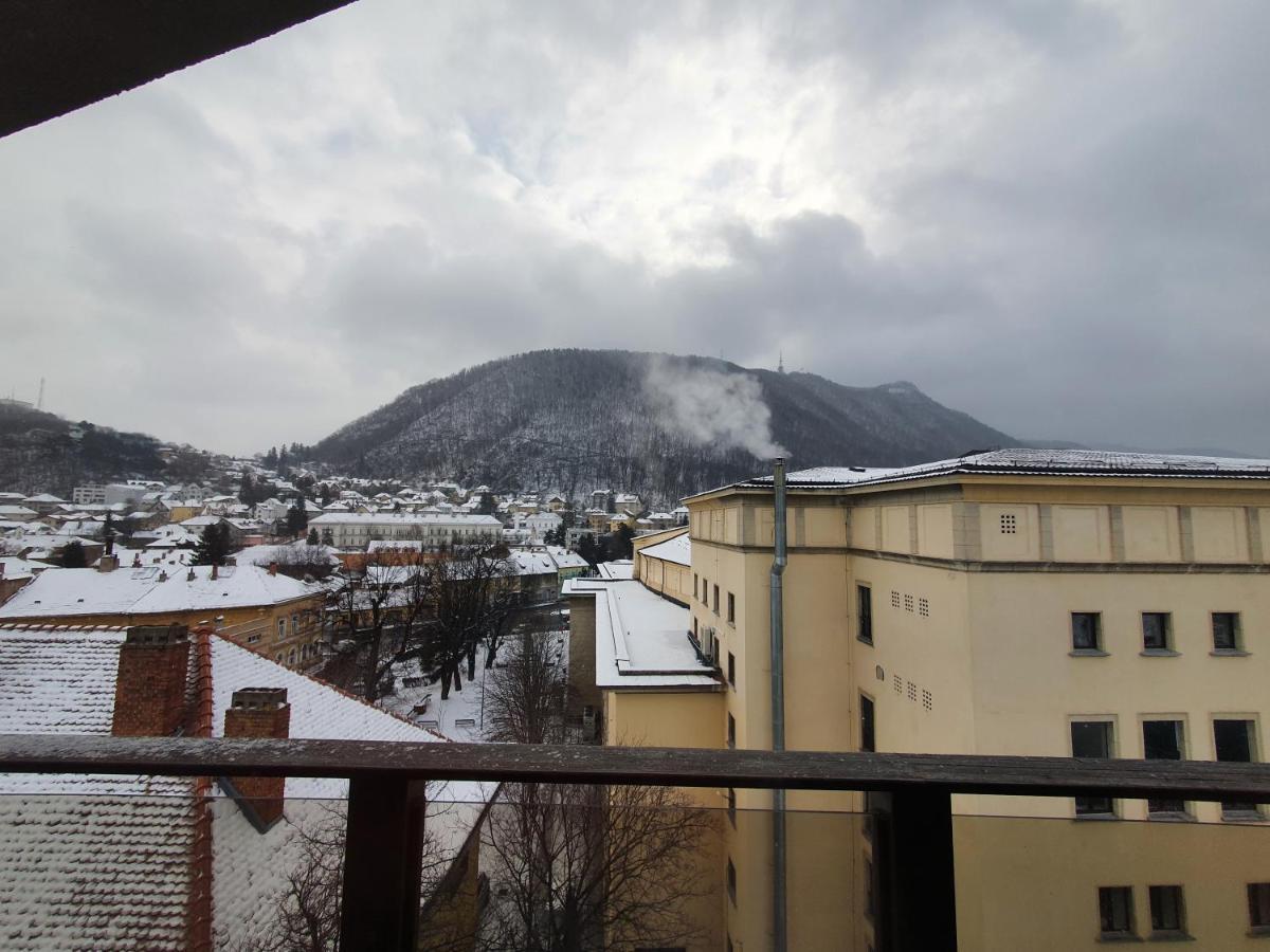 Apart Hotel Vlad Tepes ブラショフ エクステリア 写真
