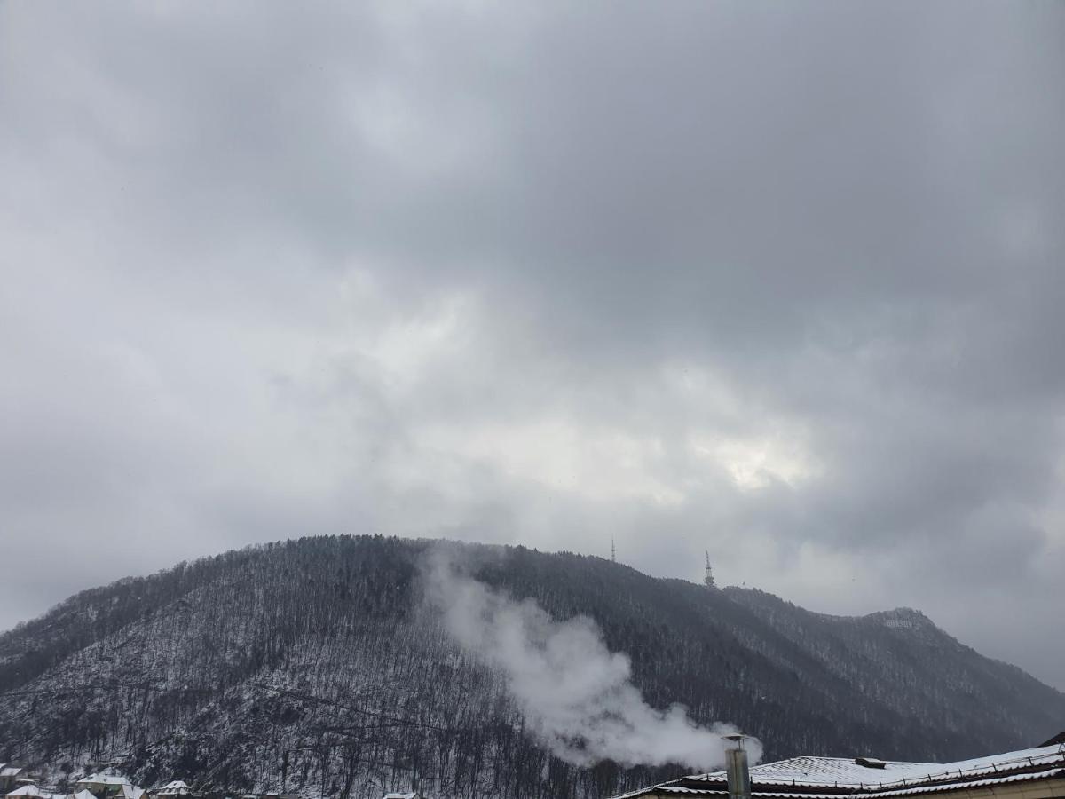 Apart Hotel Vlad Tepes ブラショフ エクステリア 写真
